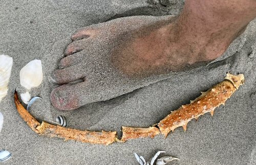 &copy Marieke Florissen